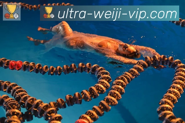 奖项4